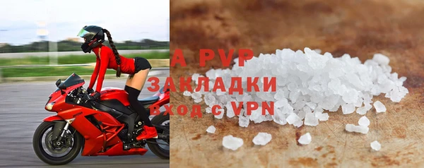 индика Арсеньев