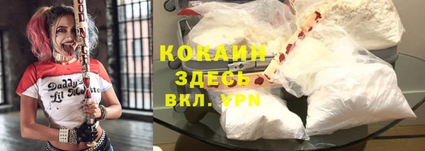 ешки Аркадак