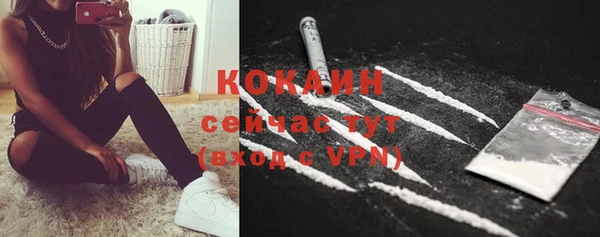 индика Арсеньев