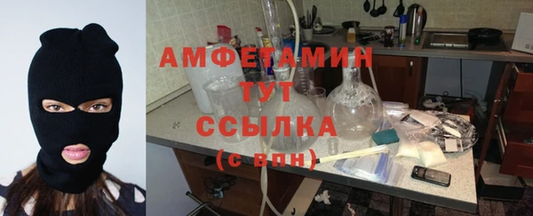 индика Арсеньев