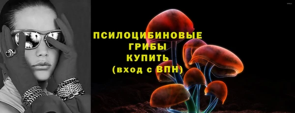 spice Армянск
