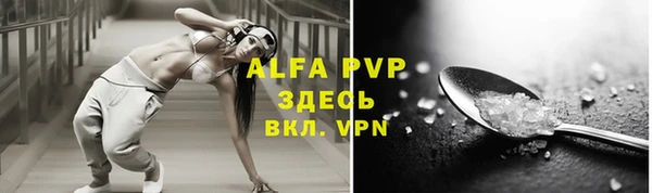 индика Арсеньев