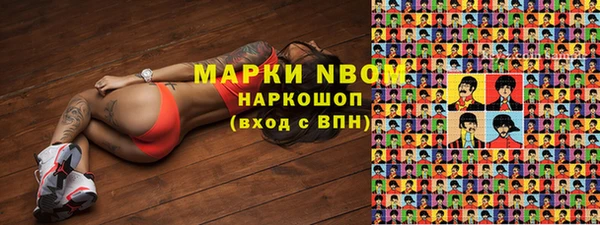 ешки Аркадак