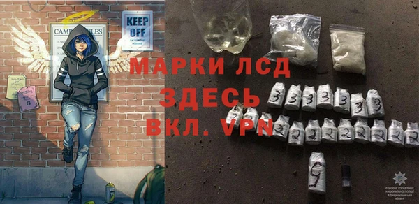 индика Арсеньев