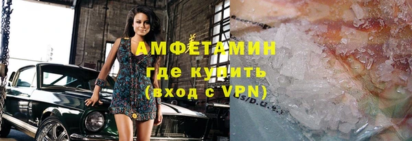 индика Арсеньев