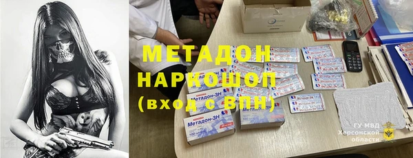 индика Арсеньев