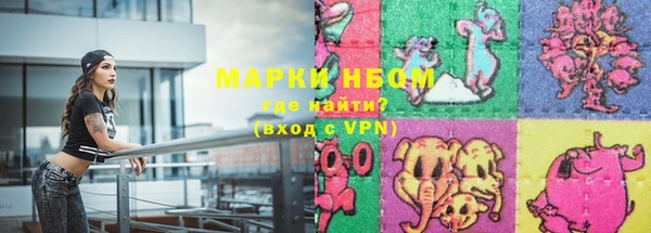 индика Арсеньев