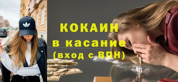 индика Арсеньев