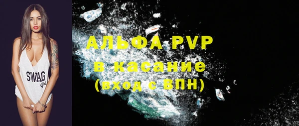 индика Арсеньев